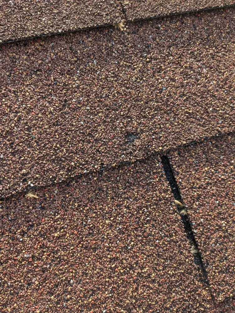 Slide of Handfeld Home Xperts