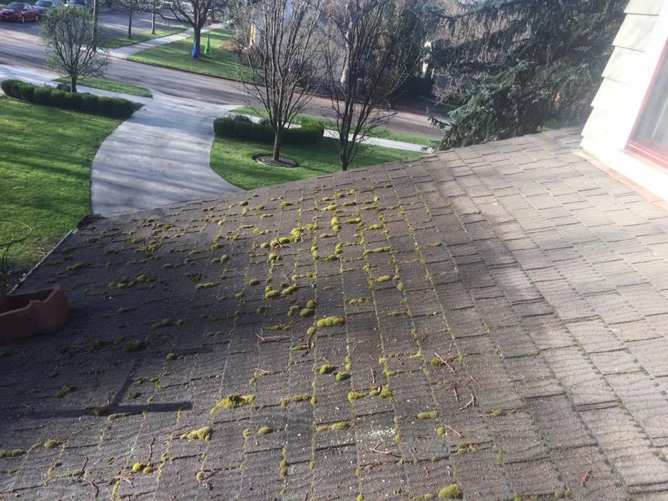 Slide of Handsome Roofing