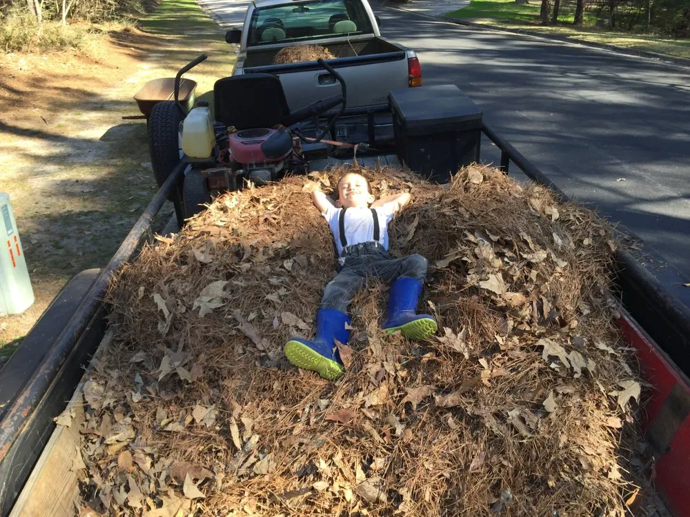 Local roof inspection experts serving Warren, TX - Handy Man Services