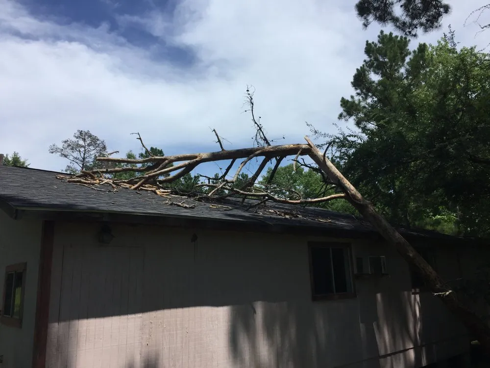 Expert roof replacement for fast service in Warren, TX by Handy Man Services