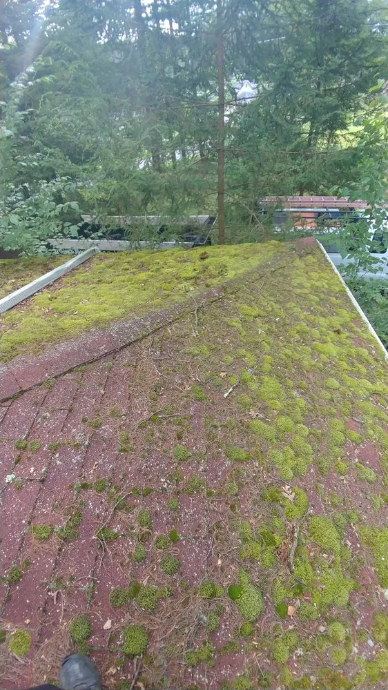 Slide of Handy Services