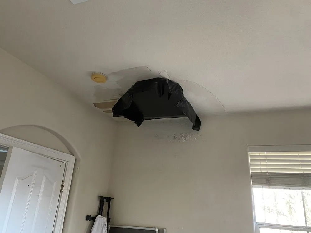 Slide of Handyman Brave