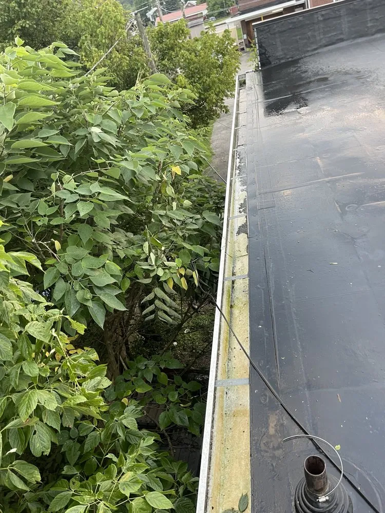 Slide of Handyman Frank