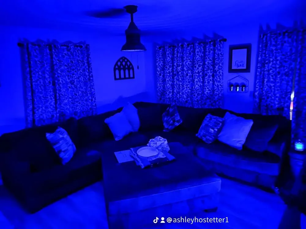 Slide of Handyman Frank