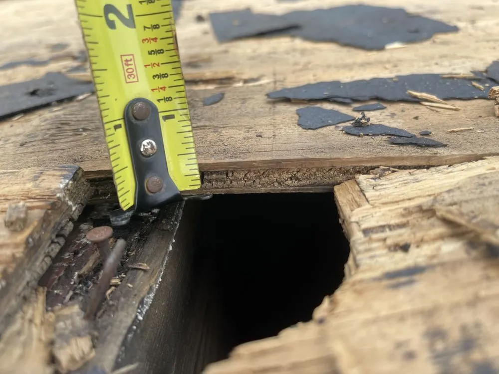 Slide of Handyman Frank