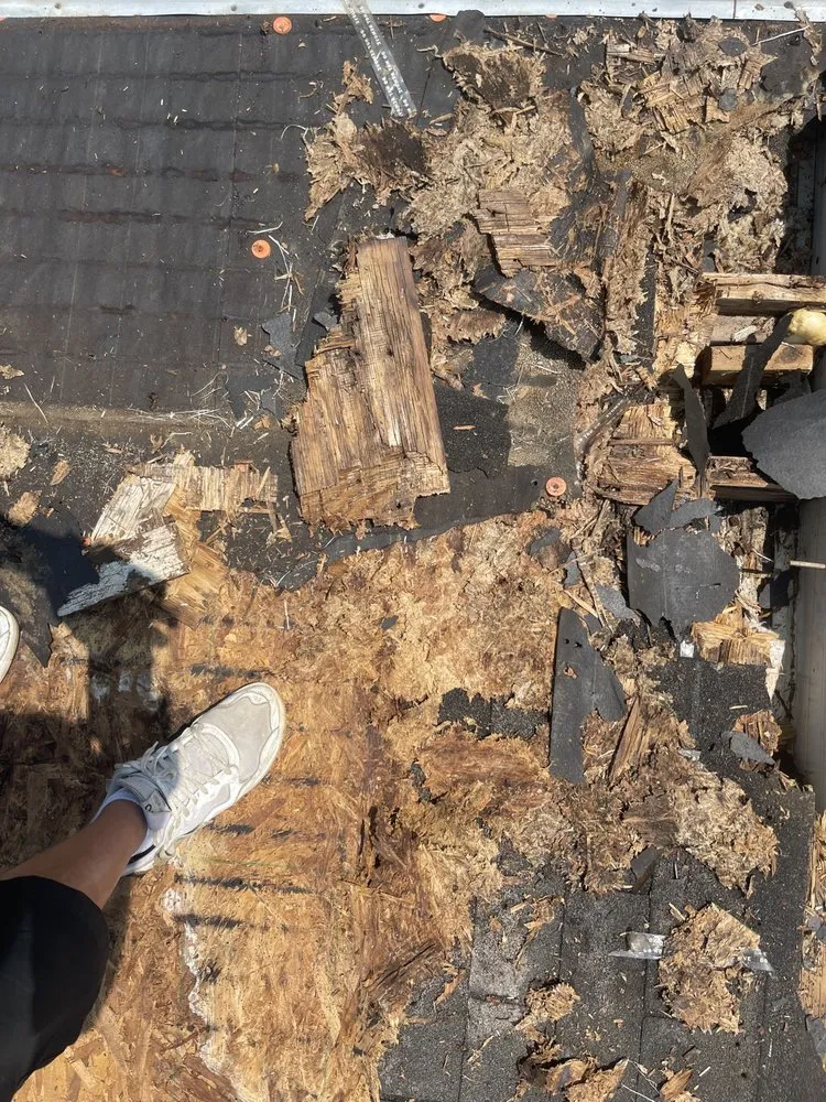 Slide of Handyman Frank