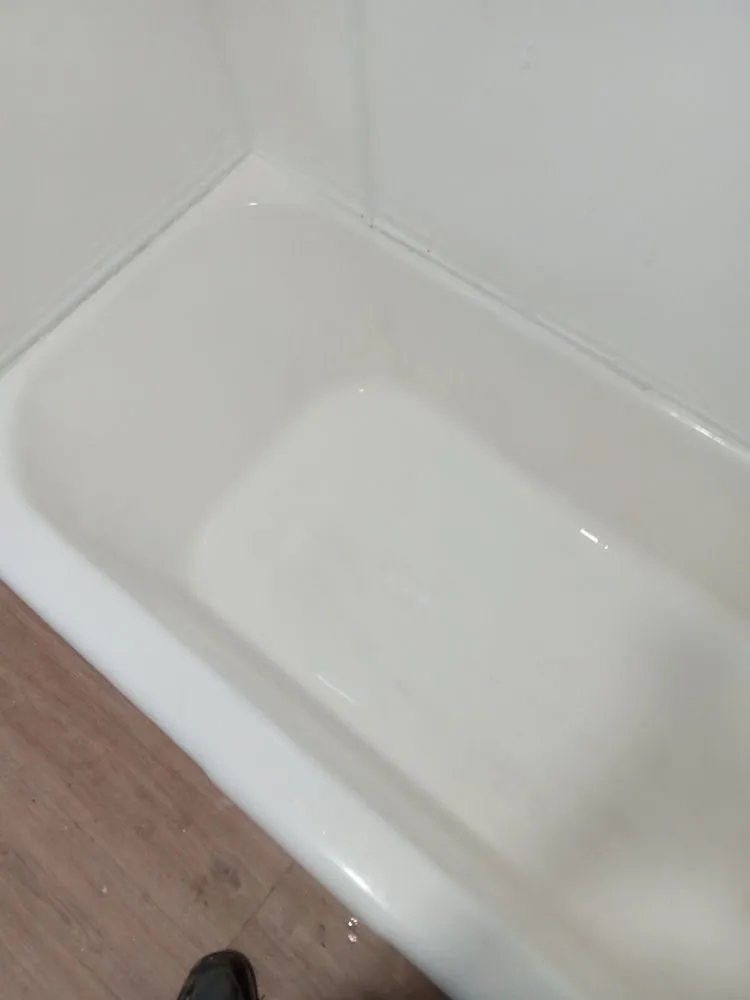 Slide of Handyman Frenchie