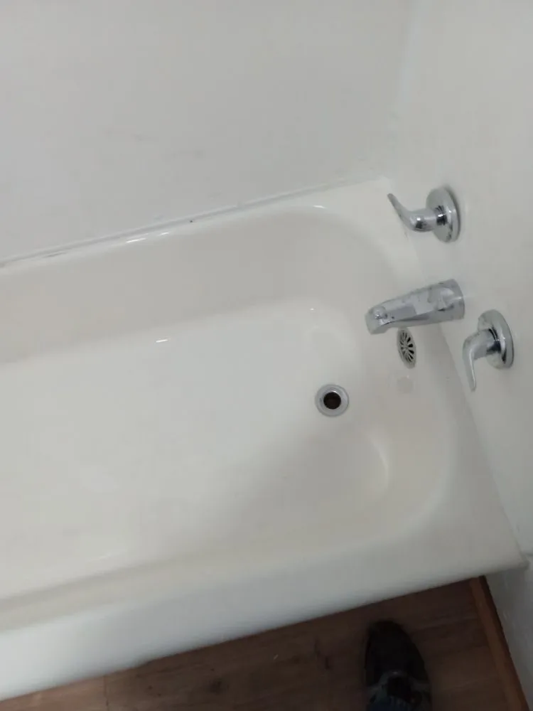 Slide of Handyman Frenchie