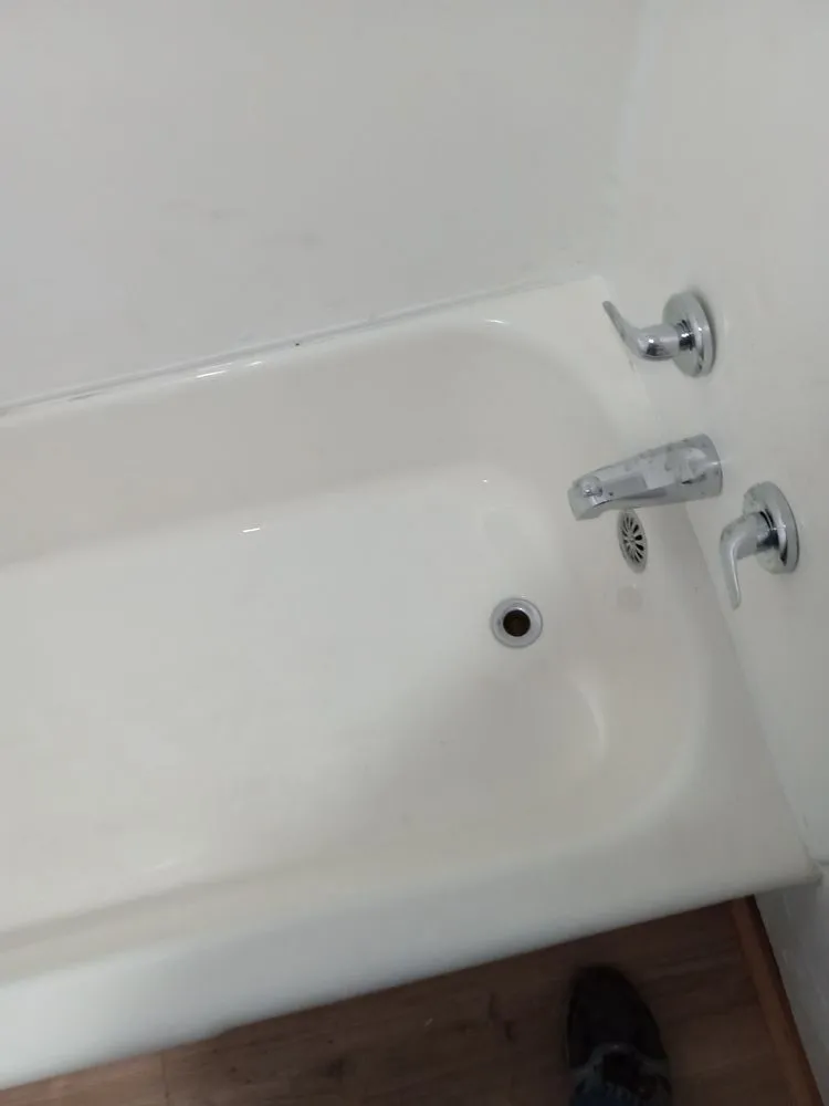 Slide of Handyman Frenchie