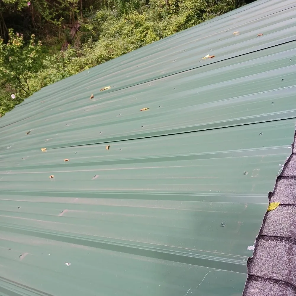 Slide of Handyman Frenchie