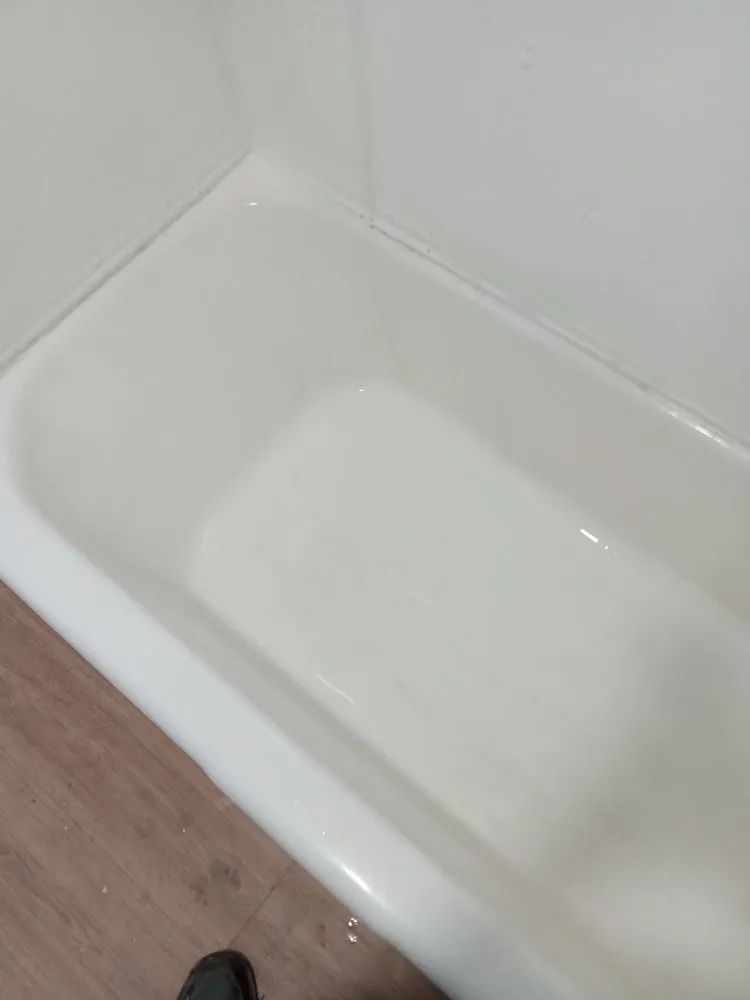 Slide of Handyman Frenchie