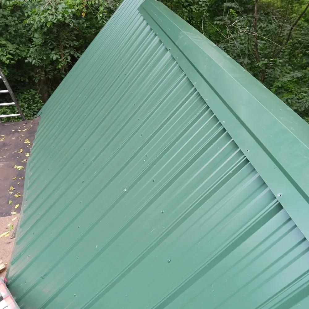 Slide of Handyman Frenchie