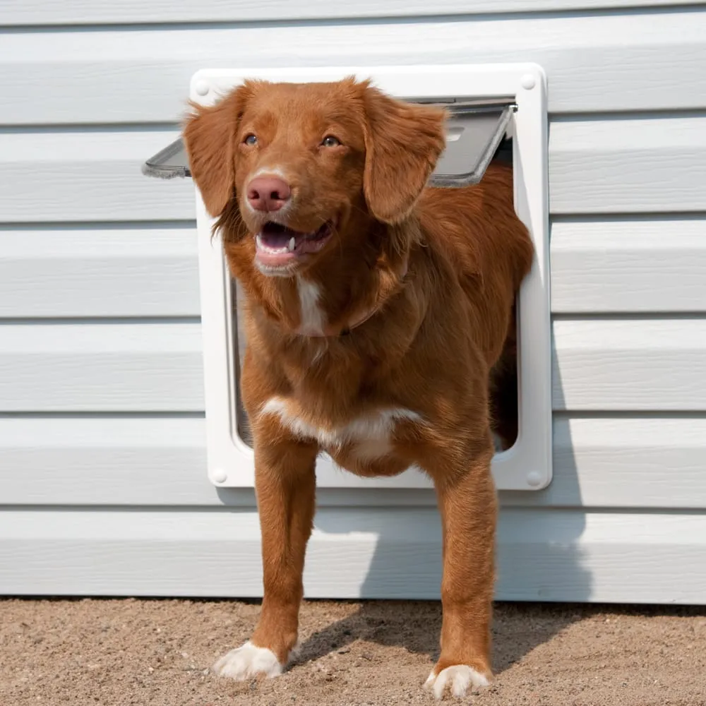 Slide of Handyman in Hemet