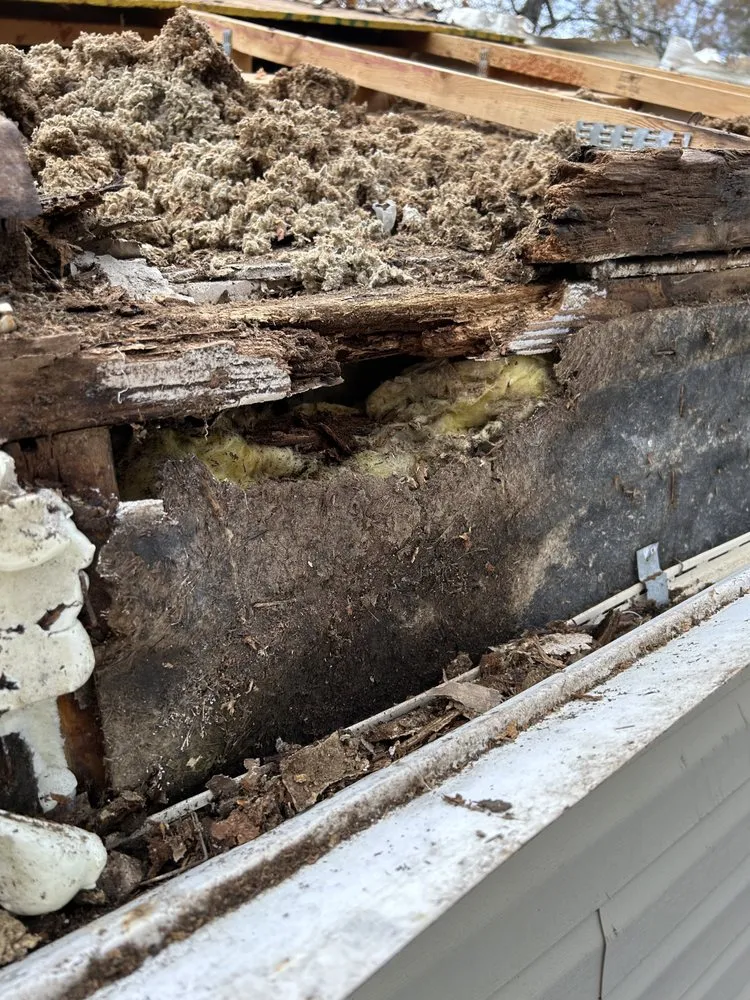 Slide of Handyman Plus