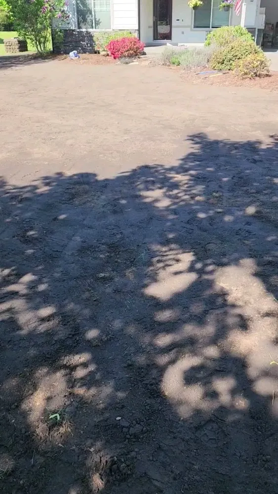 Slide of Handyman Reyes