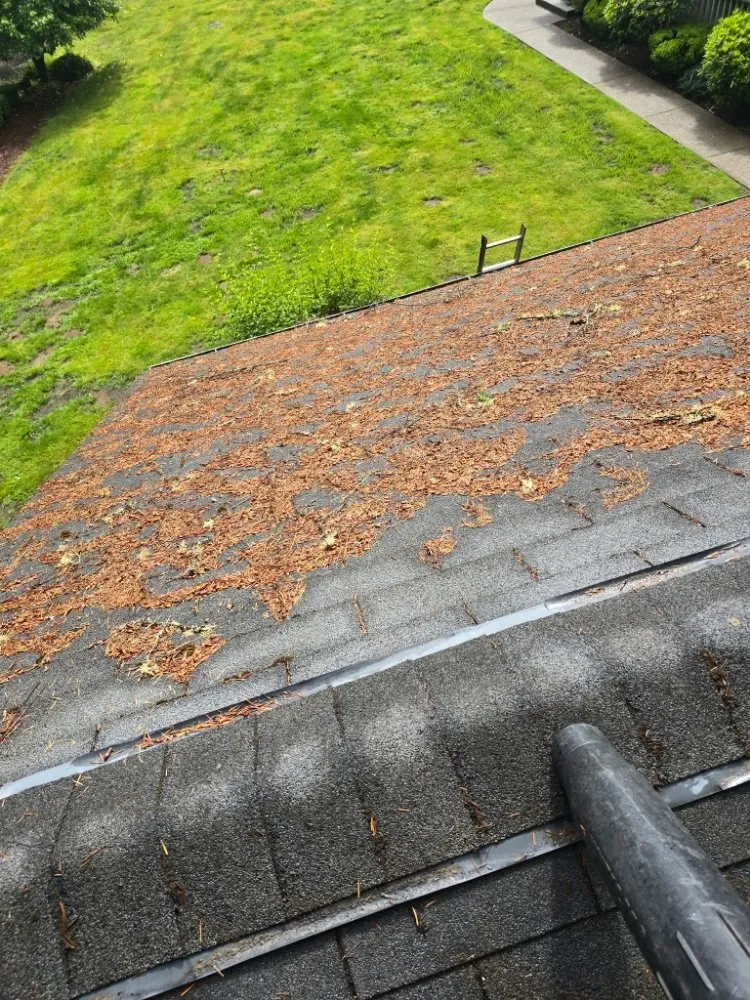 Slide of Handyman Reyes