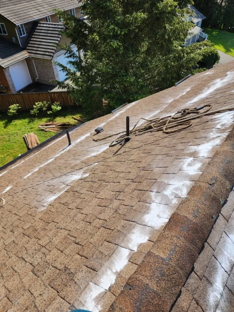 Slide of Handyman Reyes