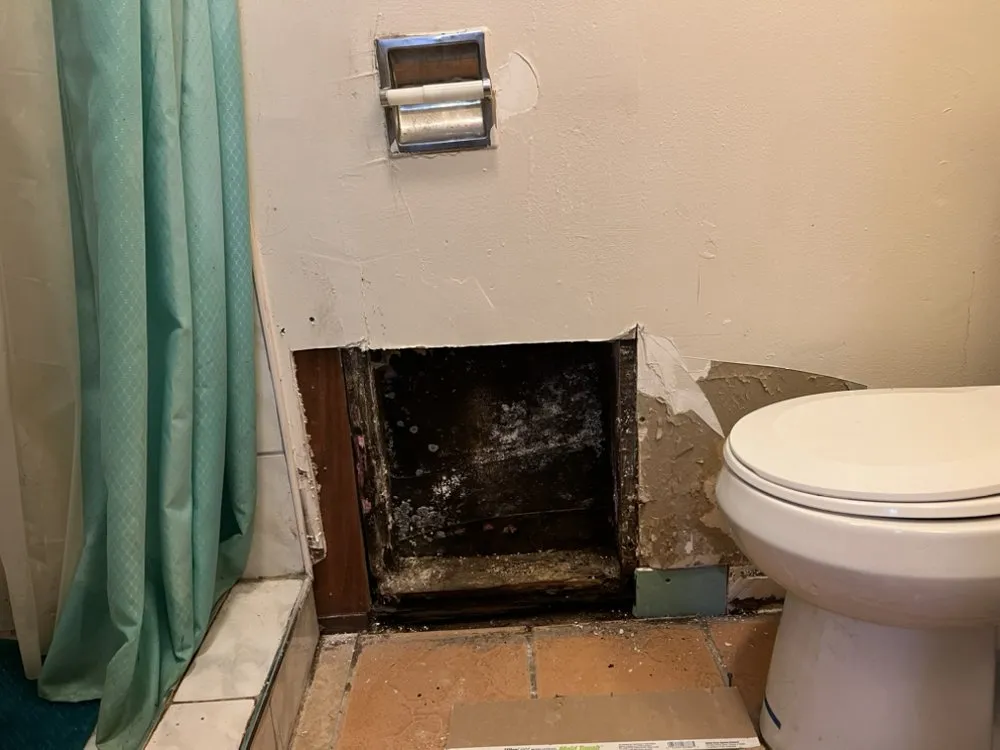 Slide of Handyman Rivera