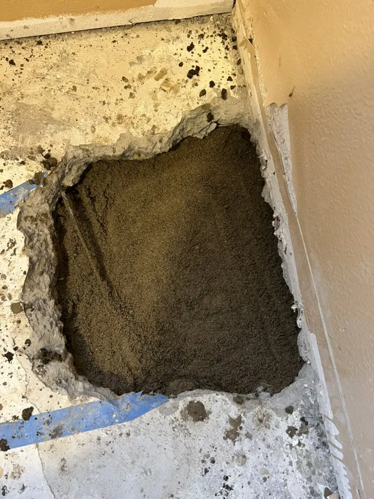 Slide of Handyman Rivera