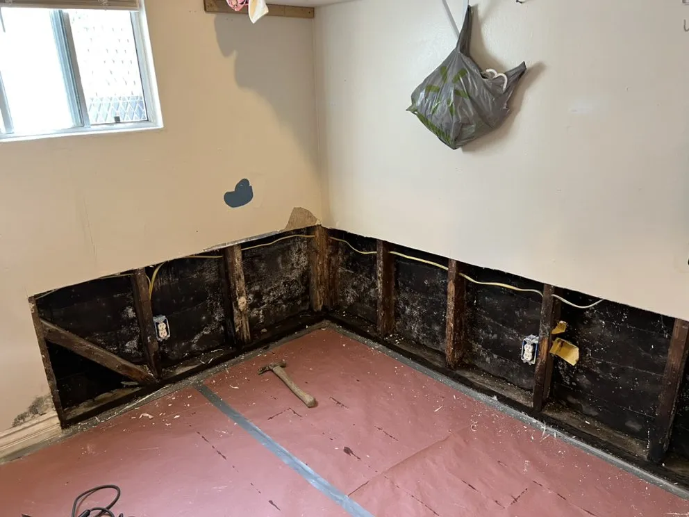 Slide of Handyman Rivera