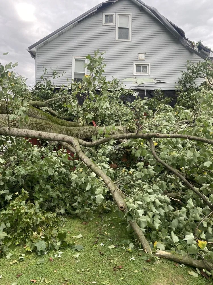 Slide of Handyman Ron and Co