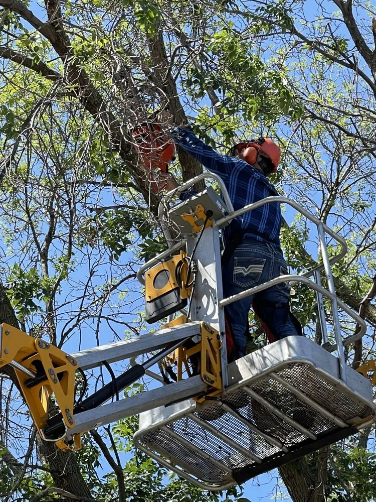 Slide of Handyman Services