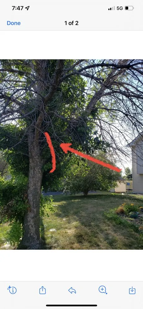 Slide of Handyman Services