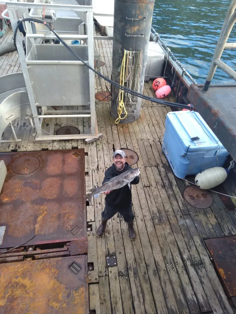 Slide of Hapa Handyman Services