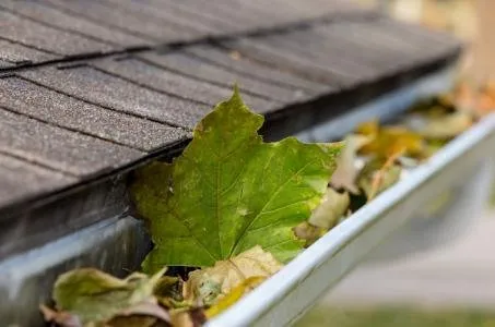 Happy Gutters & Metal Roof