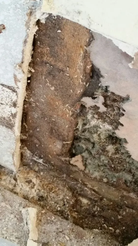 Slide of Happy Homes