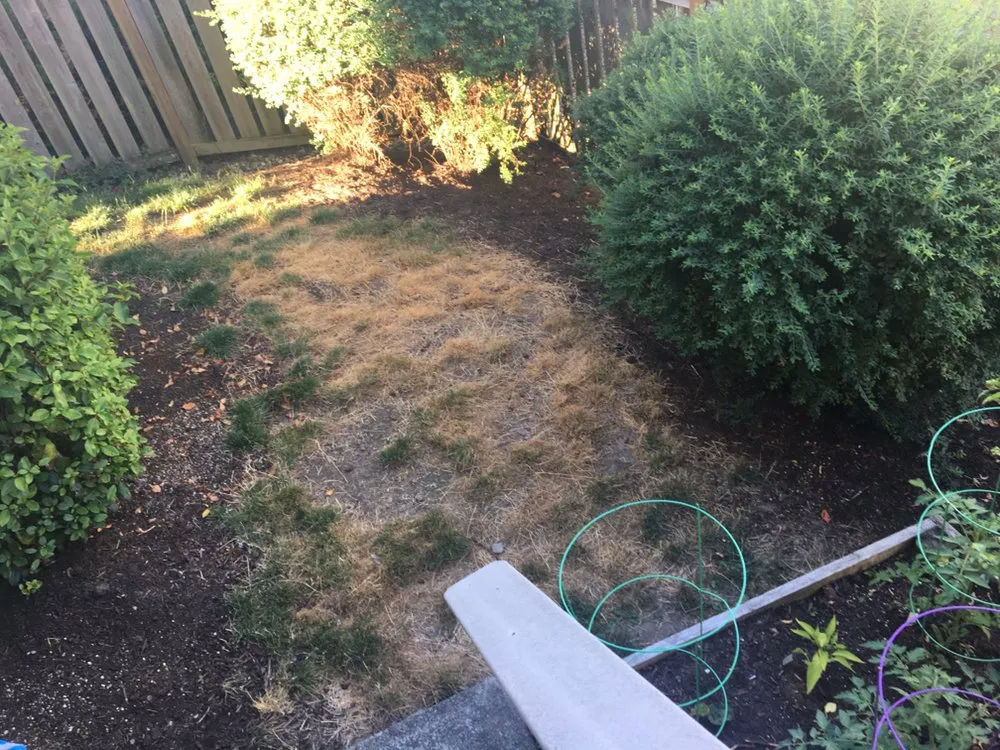 Slide of Happy Landscaping