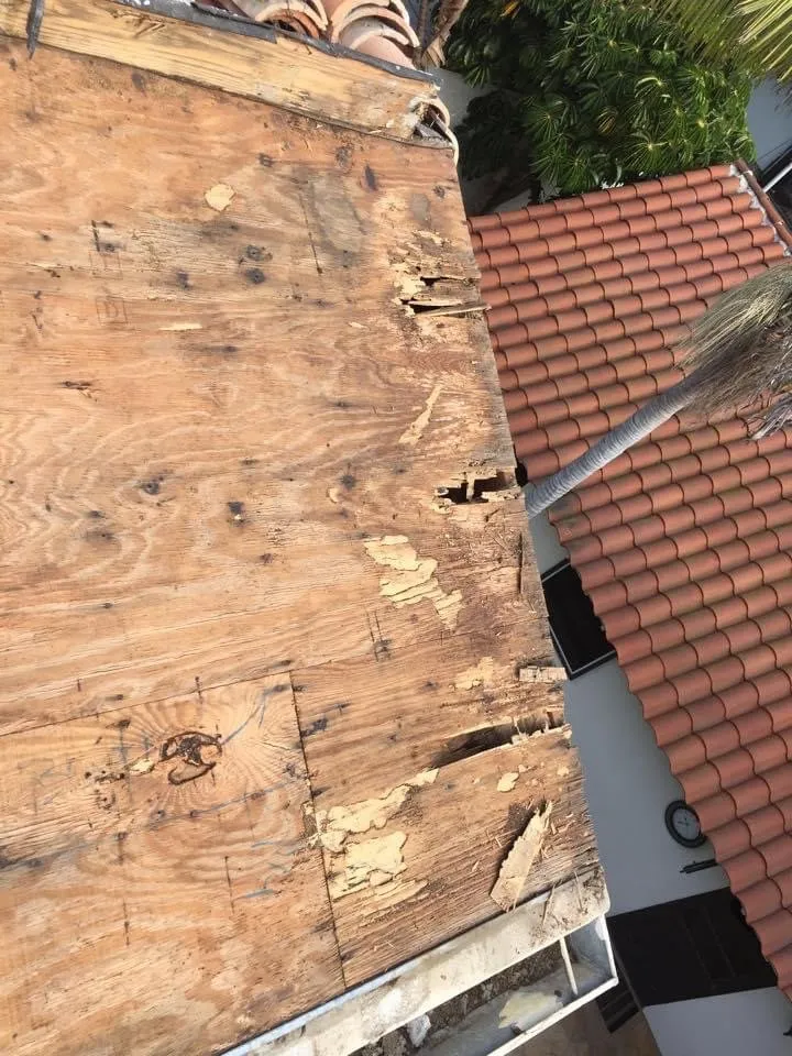 Slide of Harbor Roofing Services