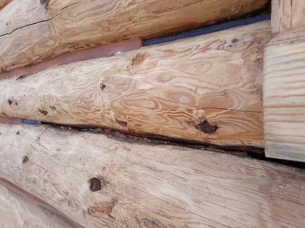 Slide of Hardy Cabins