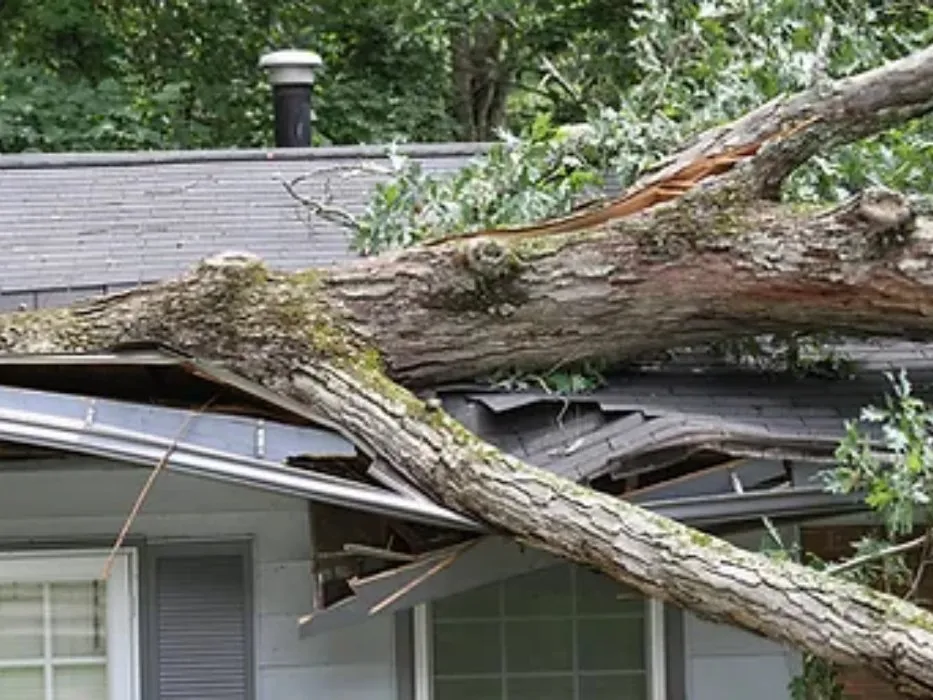 Slide of Hardy Pro Construction