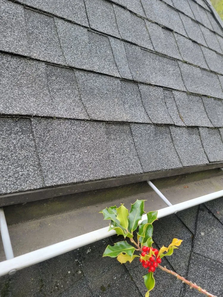 Slide of Harmony Roof and Gutter Maintenance