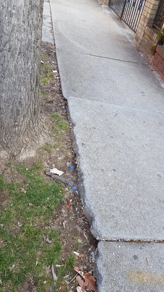 Slide of Harris & Harris