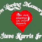 Slide of Harris Roofing Specialists