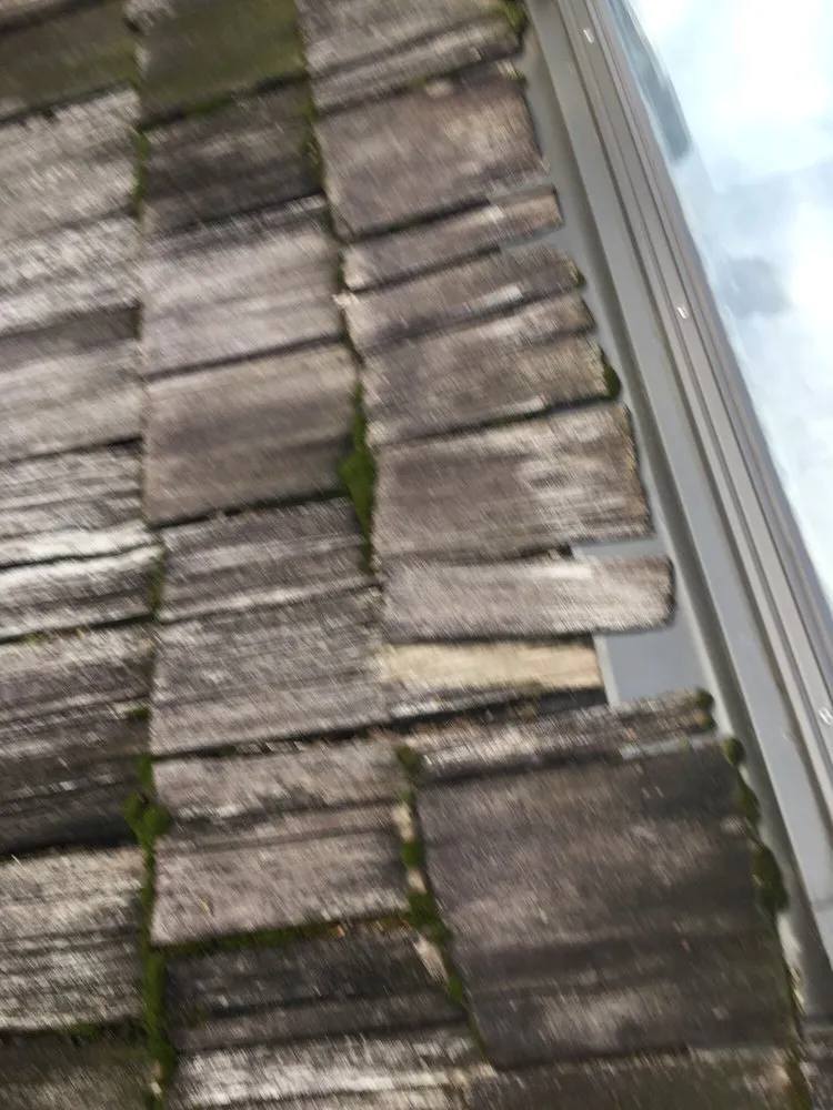 Slide of Harry Gorman