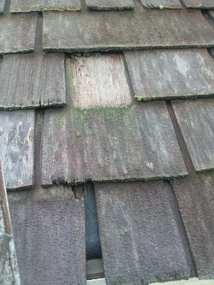 Slide of Harry Gorman