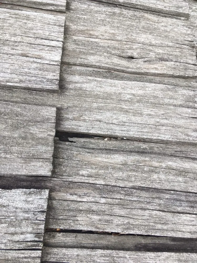 Slide of Harry Gorman