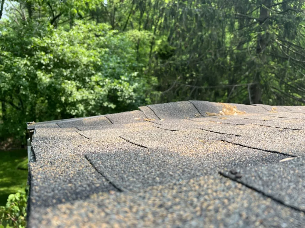 Slide of Harry Helmet