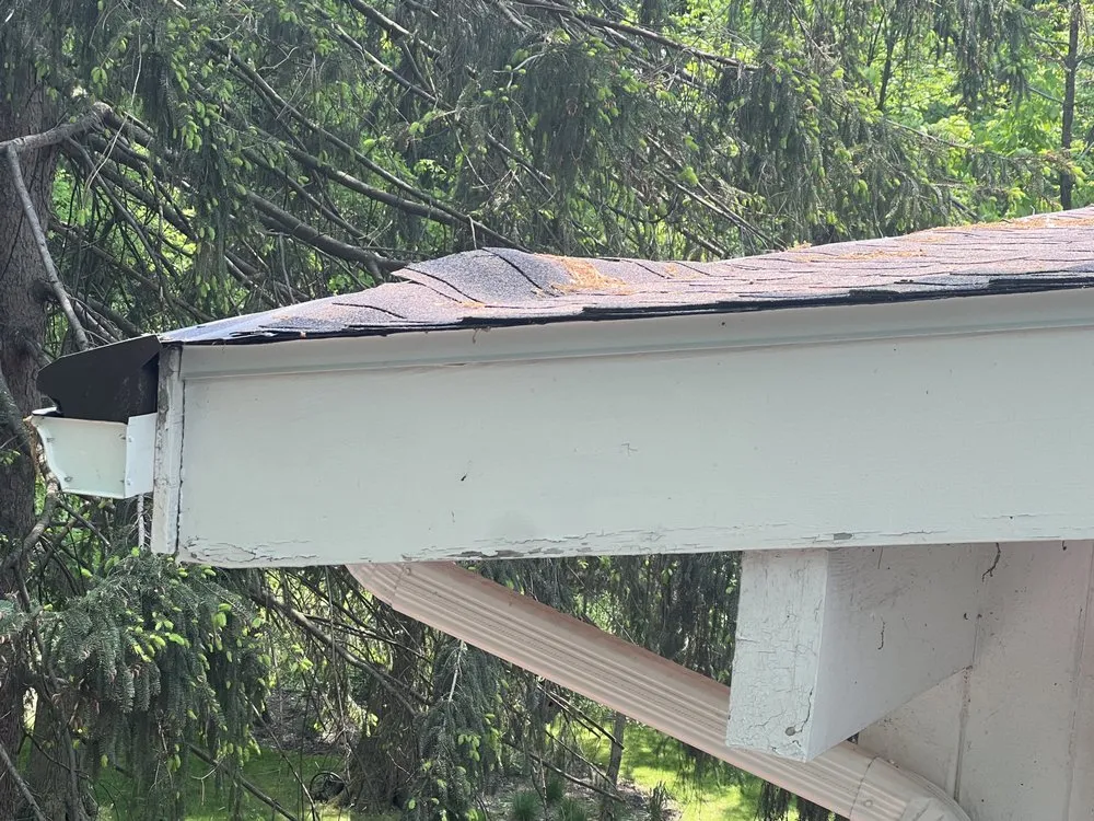 Slide of Harry Helmet