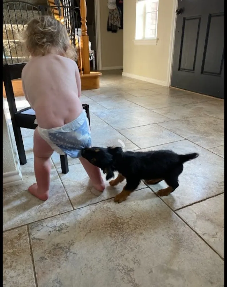 Slide of Harry's Roofing and Construction