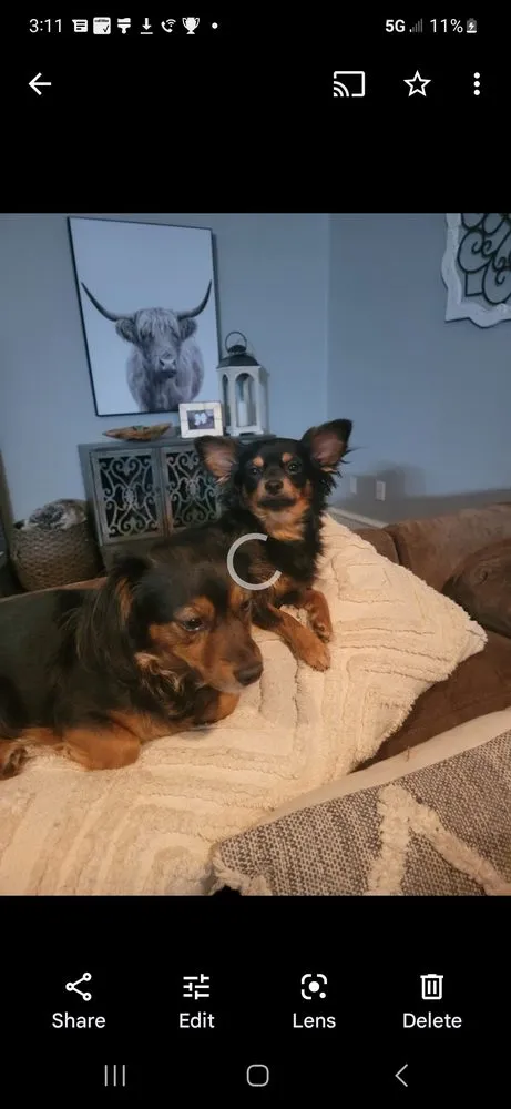 Slide of Harry's Roofing and Construction