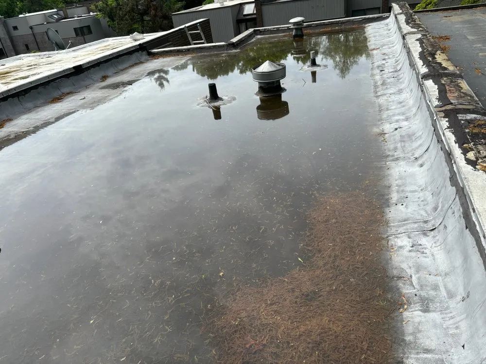 Slide of Harrys Roofing Contractors