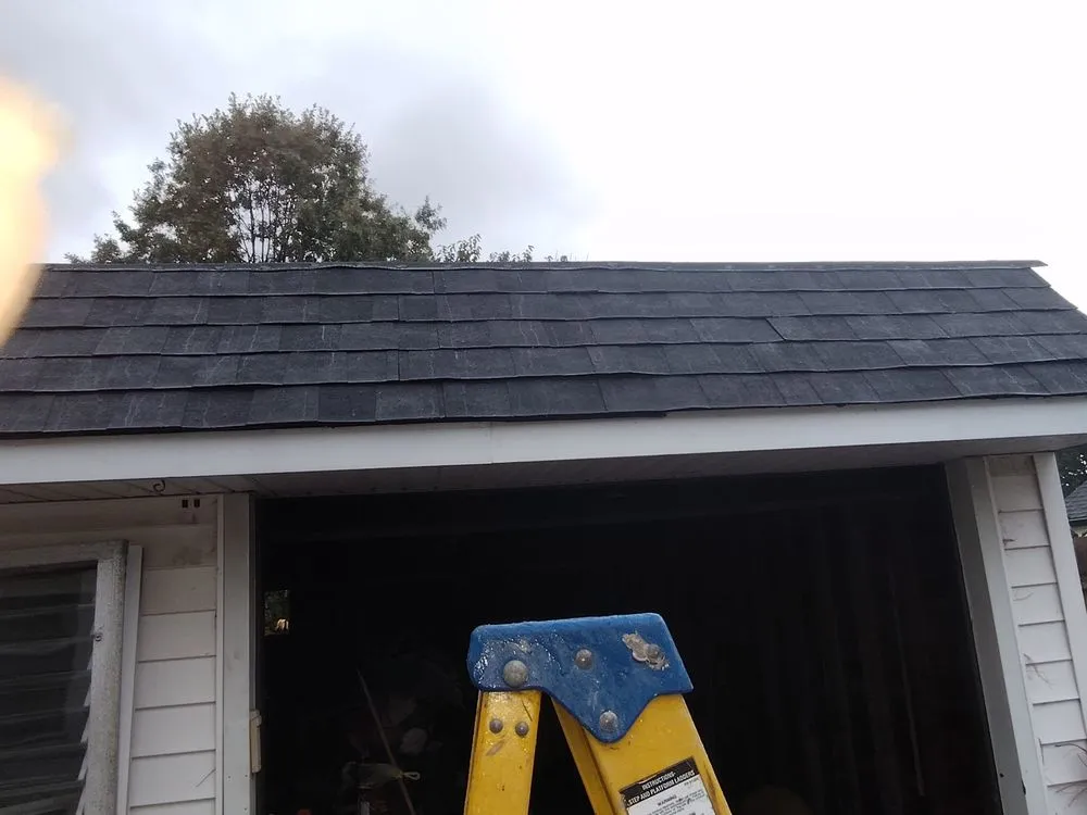 Slide of Harvey Steven