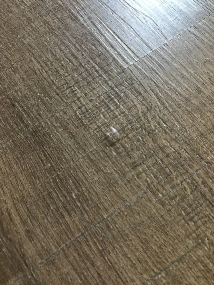 Slide of Hauberk Restoration Company