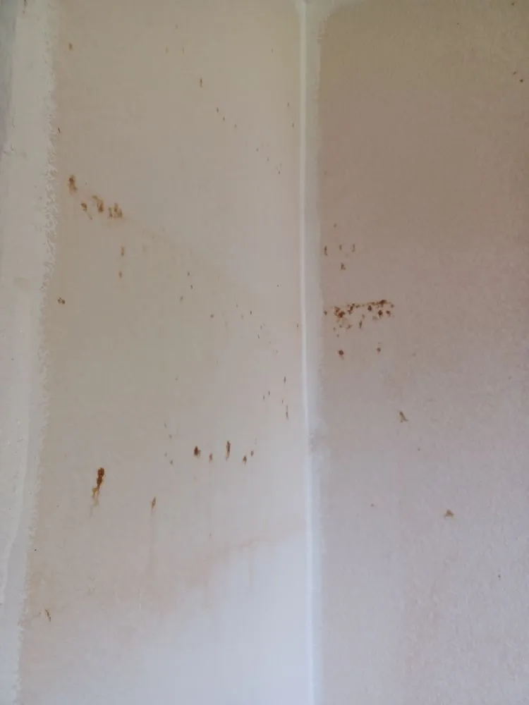 Expert roof repair in Pleasant Grove, CA - Have Tools will Travel