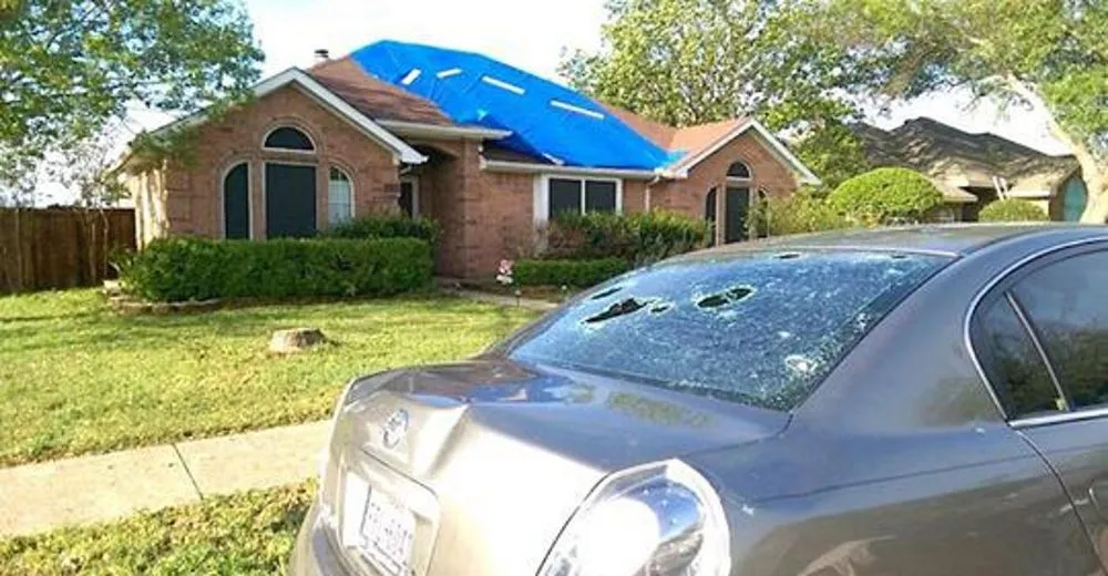 Slide of Hawk Restorations