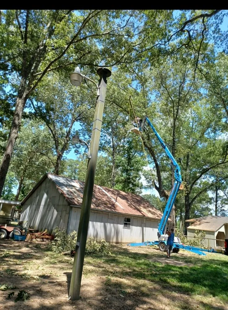 Slide of Hazelton's Clearing Service